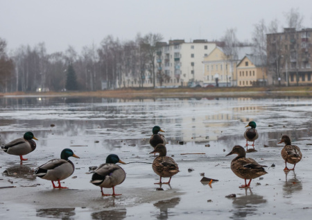 Синоптик ответил, когда в Москве наступит климатическая весна