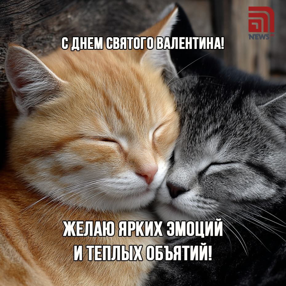 Желаю ярких эмоций и теплых объятий