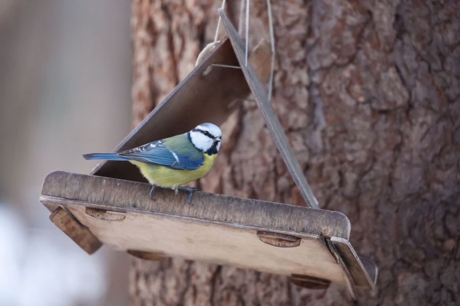 Что можно и нельзя делать 15 февраля