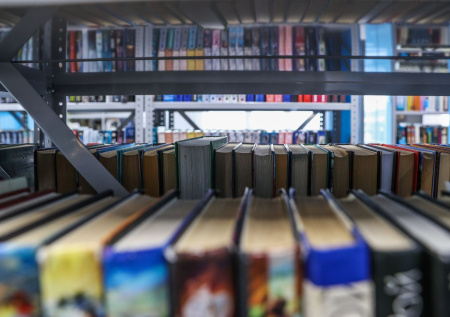 Книжный сервис выяснил, какая пара покорила российских читателей