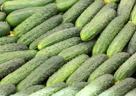 Стоимость килограмма огурцов в России побила шестилетний рекорд