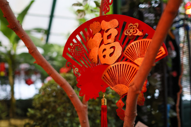 Китайский Новый год — 2026: как встретить год Лошади, что готовить и дарить