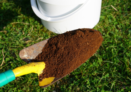 Не выбрасывайте кофейную гущу — огород скажет спасибо: простая подкормка усиливает рост растений и улучшает почву