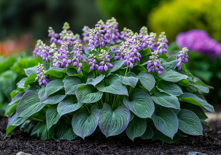 Приезжаю на дачу отдыхать, а не вкалывать, и этот цветок — верный помощник: никакого полива и укрытия
