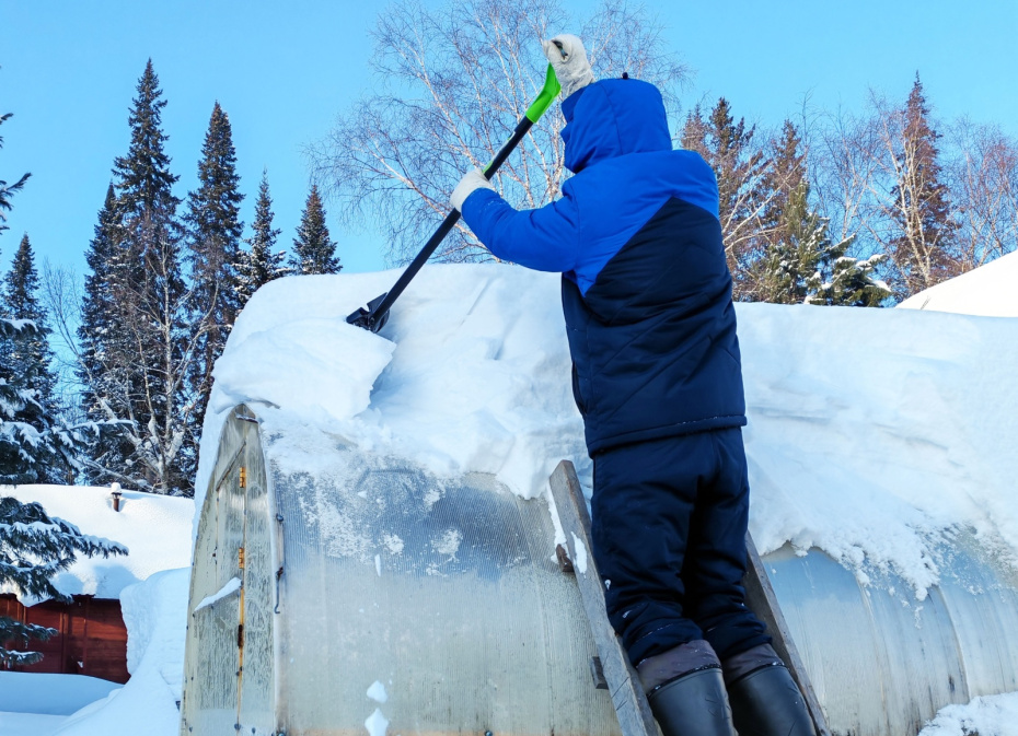 Подержите свечку: безопасные способы очистки теплицы без лишних усилий