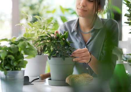Как подготовить комнатные растения к весне: 7 шагов до идеального цветения