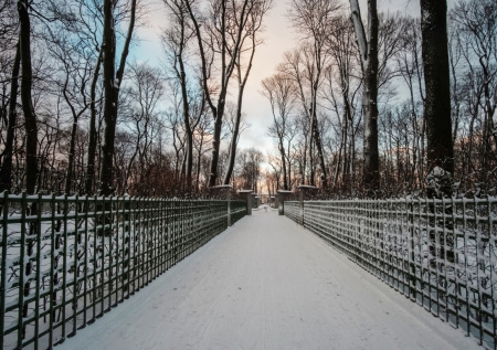 Русский музей потребовал компенсацию от протаранившего Летний сад водителя