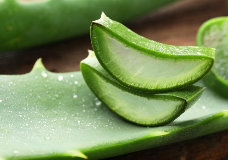 Черенки быстрее укореняются и не гниют — домашний стимулятор с алоэ: простой способ для комнатных растений