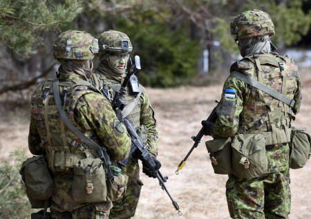 «Развоевались»: в СФ высмеяли готовность Эстонии к боевым действиям в РФ