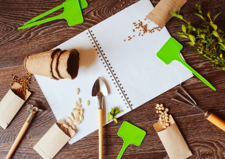 Какие семена выбросить: простой тест запасов, чтобы не остаться без урожая