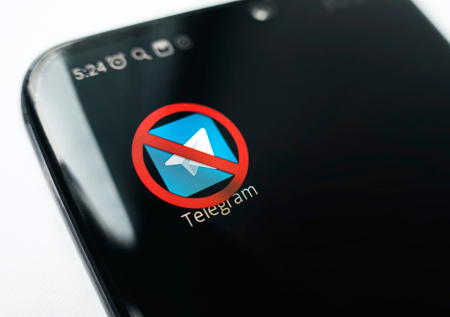 «Ломка пройдет»: в ГД отреагировали на возможную полную блокировку Telegram