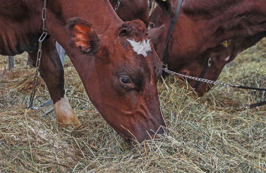Что можно и нельзя делать в феврале