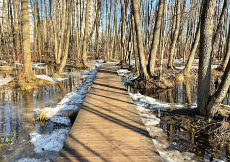 Ученый обнадежил прогнозом весеннего половодья в Прикамье