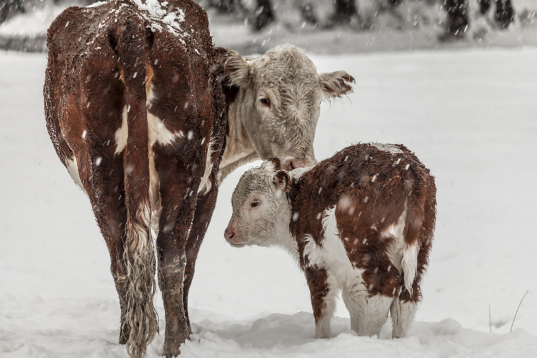 Приметы 18 февраля