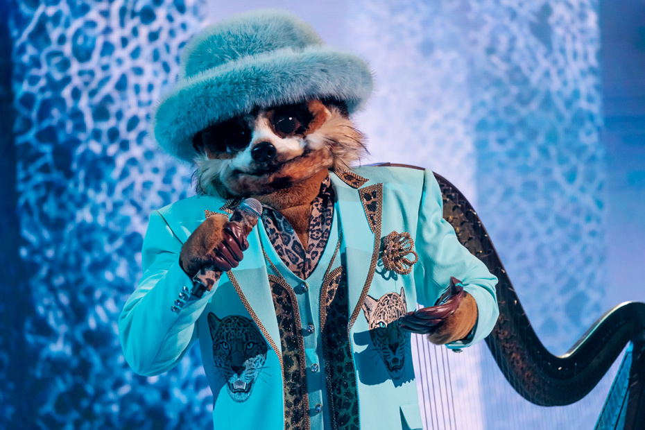 Сурикат из шоу «Маска»