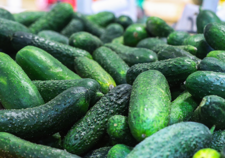 ФАС России запросила у торговых сетей данные о ценах на огурцы