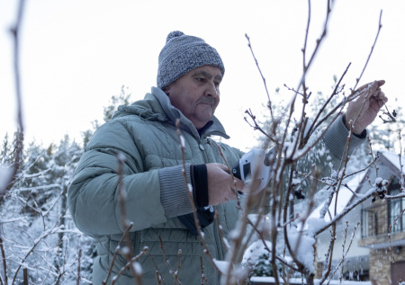 Эксперт перечислил работы на садовом участке в конце февраля