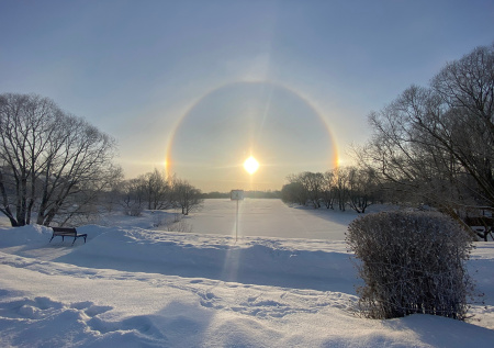 Приметы 19 февраля — Вукола Телятник: забота о приплоде и домашний уют