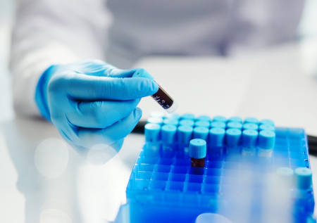 Назван самый распространенный способ передачи оспы обезьян