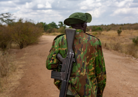 Названо условие для усиления оружейного сотрудничества между РФ и Африкой
