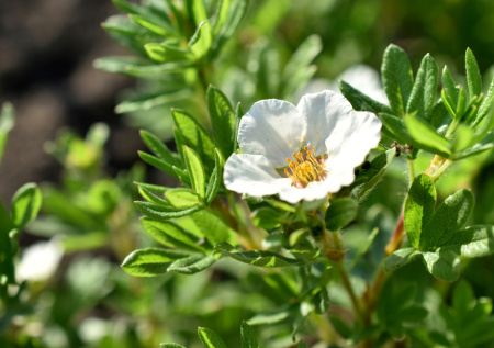 Приметы 20 февраля — День Луки: магия Могущницы и поминание усопших