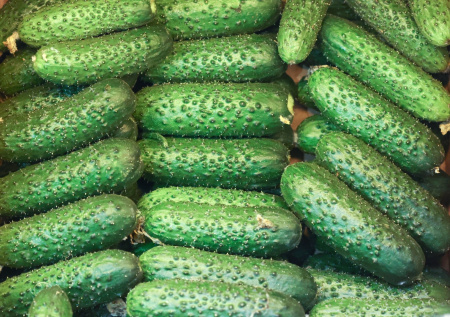 Названы российские города с самыми дорогими огурцами