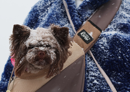 Белый плен. На Москву обрушились аномальные снегопады — фото