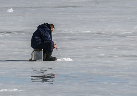 Запахи, которые будят рыбу в феврале: поднимаем ее с 10 метров