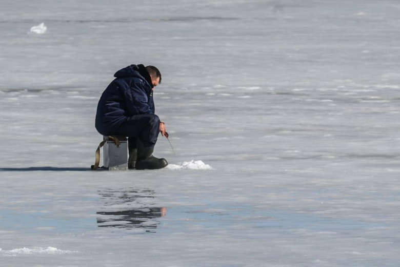 Какие запахи могут поднять рыбу с глубины в февральское глухозимье