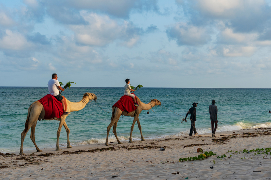 Отдых в Кении