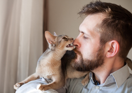 Зоопсихолог объяснила, что хотят сказать кошки покусыванием лица хозяина