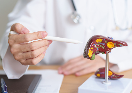 Врач развеяла главный миф о причинах цирроза печени