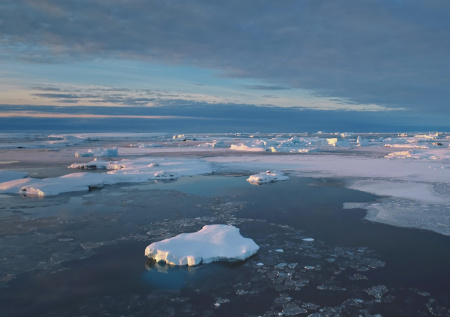 Стали известны итоги операции по спасению собаки с дрейфующей льдины