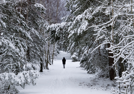 На Куршской косе сократили часы работы Музейного комплекса