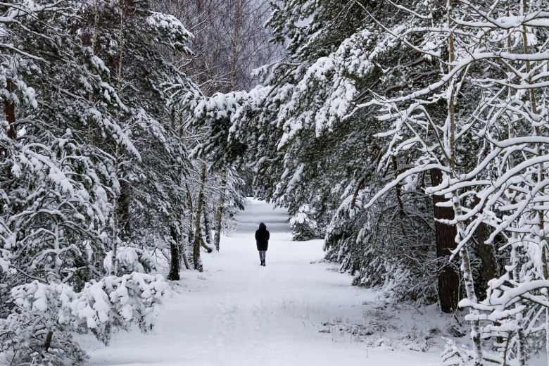 Эко-тропа, Куршская коса