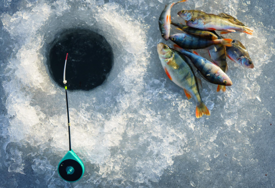 Лучшие наживки для рыбалки в период оттепели — готовим удочки заранее