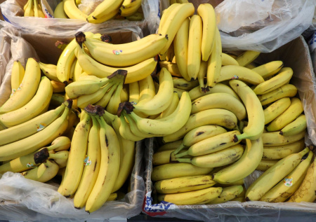 В России с марта вводят стандарт на свежие бананы
