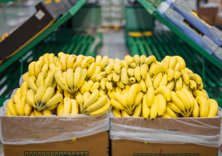 Размер имеет значение: госстандарт на длину бананов появился в России