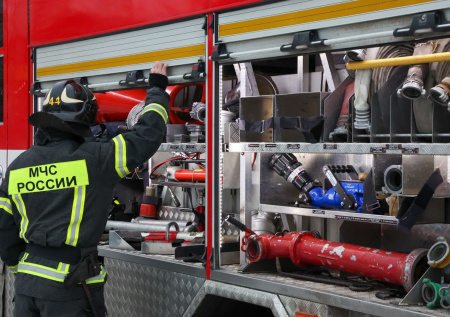 Экзотические кошки попали в огненную ловушку в подмосковной усадьбе