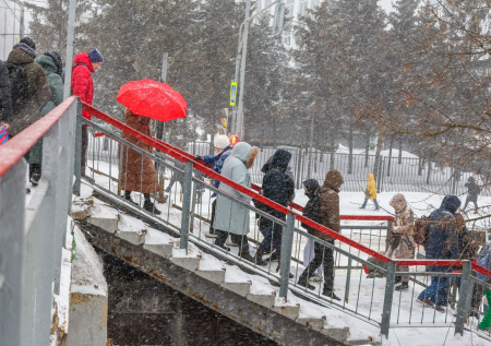 Обычная поездка на работу превратилась для жителей Подмосковья в выживание