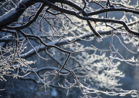 Приметы 23 февраля — Прохор Весновей: когда зима сдает позиции
