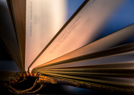 Названы языки, у которых остался один носитель в России