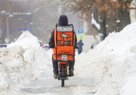 В Совфеде отреагировали на увольнение курьера за помощь бездомной собаке