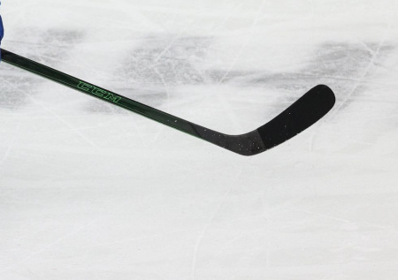 Хоккейных судей отстранили от работы за скандальное поведение