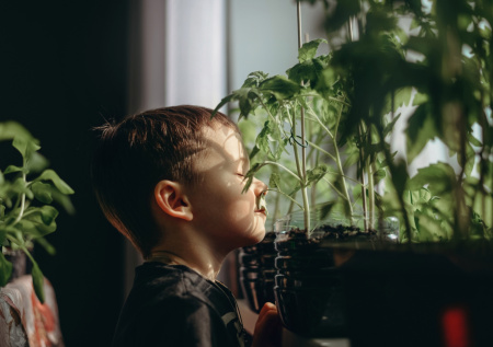 Эксперт поделился домашним лайфхаком для выращивания крепкой рассады