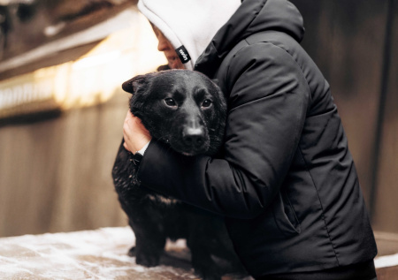 Команда 1win Charity выделила 8 млн рублей на создание приюта для собак