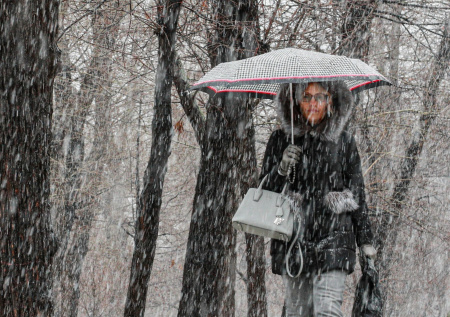 Ливневый снегопад и тепло до 0? Погода в Москве в конце недели: чего ждать