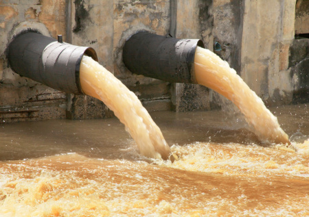 Активисты из Челябинской области возмутились сливом фекалий в заповеднике