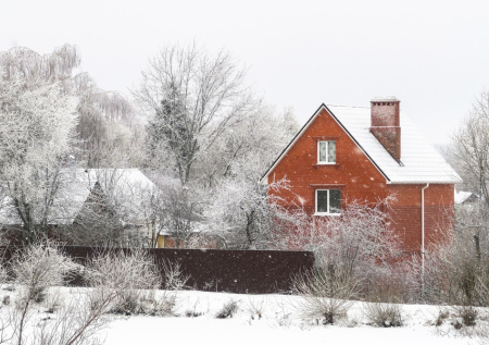 Россиянам рассказали, что проверить на даче после заморозков