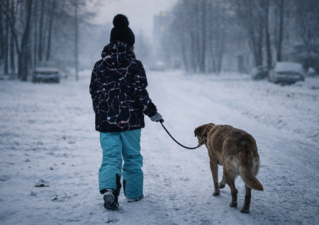 Ушла гулять с псом и не вернулась: девятилетняя девочка пропала в Смоленске